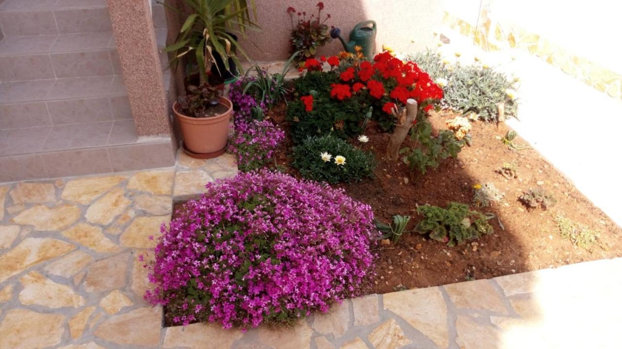 Apartmani Matovina Vir Dış mekan fotoğraf